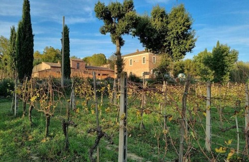 Montepulciano Apartment | Fornace del Conte - Apartment mit 2 Schlafzimmern