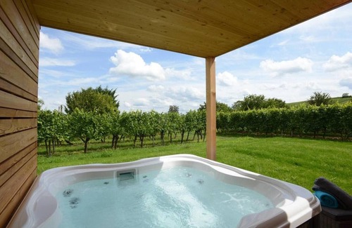 Hunawihr House | fougere avec jacuzzi le clos des vignes