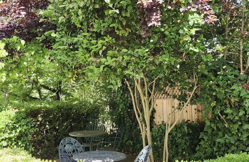 Sutter Creek Apartment | Fox Den | Main St. Food, Wine & More! Dog Friendly