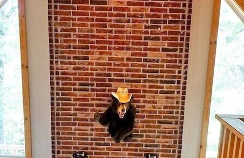 Eucha House | Fox Hollow Retreat Grand Lake-Private Dock-2 JetSki Ports- New Walkway to Dock