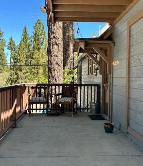 The Village Hotel | Fox n Bear Cottages Big Bear