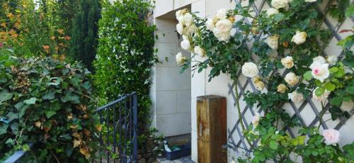 Charce-Saint-Ellier-sur-Aubance House | Maison de campagne entre Loire et vignes