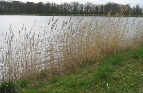 Douadic Cottage | Gite Communauté de communes Brenne - Val de Creuse-Douadic, 2 bedrooms, 5 persons