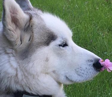 Fontenille-Saint-Martin-d'Entraigues House | Moulin De Coupigny