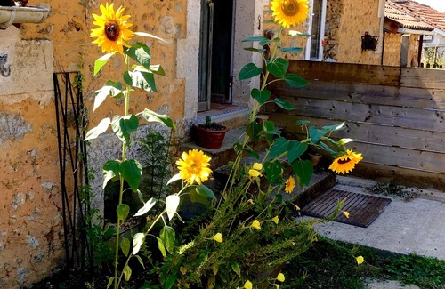 Javerlhac-et-la-Chapelle-St-Robert House | La Libellule is a one bedroom barn with a sofa bed in the lounge