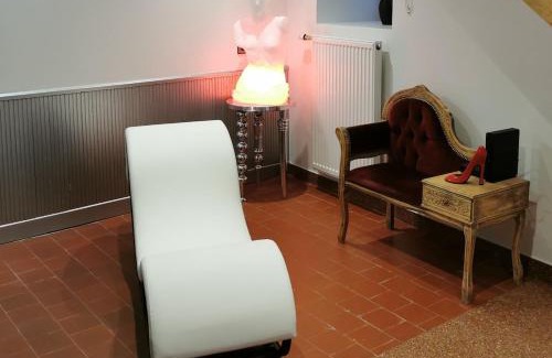 Saint-Jean-Saint-Maurice-sur-Loire House | Gîte Ozé