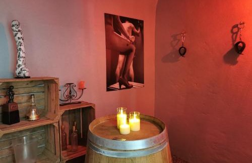 Saint-Jean-Saint-Maurice-sur-Loire House | Gîte Ozé