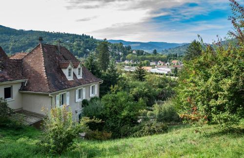 Luttenbach-pres-Munster Villa | Françoise's Villa Luxury Hot Tub Mountain Ski - Munster