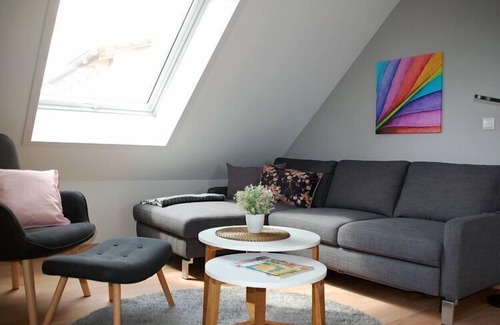 Baudenbach Apartment | Franconia's center No.3