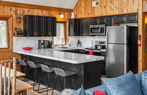 McGaheysville Ski Chalet | FREE POOL ACCESS - Stunning Snowbird Lodge at Massanutten Resort
