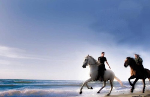 Fregenae Apartment | Fregene's Studio Monolocale