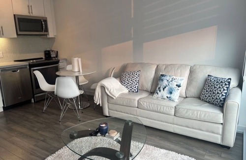 Big Bay Point Condo | friday harbour resort