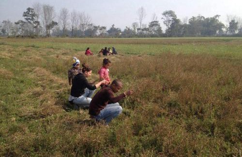 Khairahani House | Friend's Home Stay