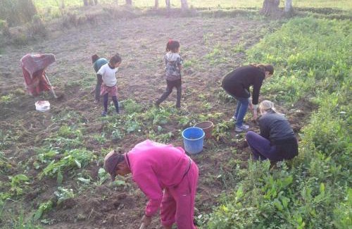 Khairahani House | Friend's Home Stay