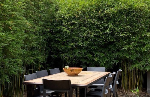 Mornington House | Friendly Mornington Retreat