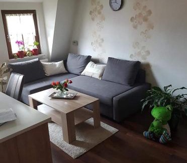 Ilmenau Apartment | Froeschlein - no craftsmen fitters