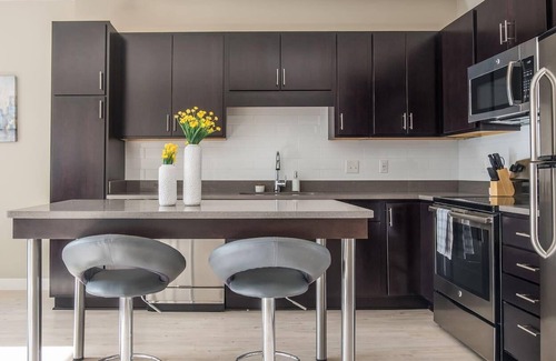 Northeast Minneapolis Apartment | Frontdesk | Sleek Minneapolis 1BR near the River