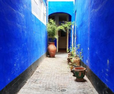 The Hague Center Apartment | Fruit of the City - R.Q.C.