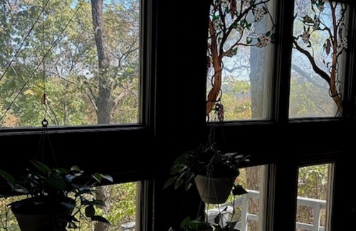 Eureka Springs Cottage | Full Glass Front Eureka Springs Cabin with 20+ mile views from our Mountain Top