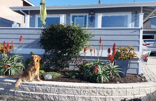 Cayucos House | FULL OCEAN VIEW! 3 minute walk to beach, WiFi, Dogs welcomed upon approval