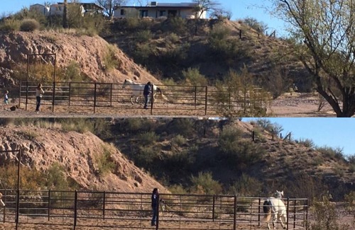 Wickenburg RV Rental | Full RV Hookup with Two Covered Horse Stalls (BYO fully contained RV, SP1)