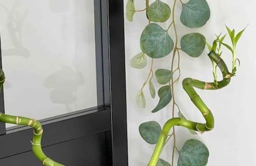 Les Chartreux Apartment | Fully equipped apartment next to the Longchamp