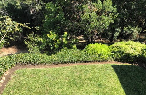 Encinitas House | FULLY FURNISHED MID-TERM RENTAL: Treehouse Oasis - A peaceful haven in Encinitas