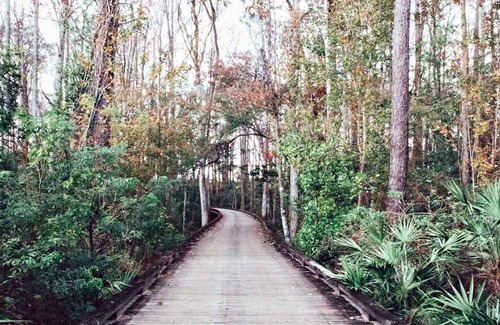 Orange Lake Condo | Fun-filled Family Home Condo Resort