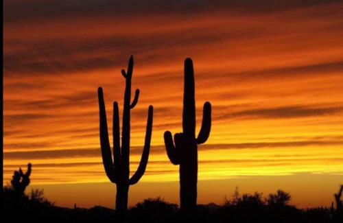 Cottonflower House | FUN IN THE ARIZONA SUN! HEATED POOL! POOL RESURFACED AND RETILED JUNE 2025 😁