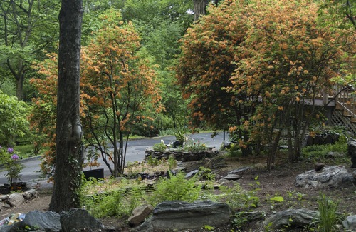 Waynesville Apartment | Furnished Studio Apartment