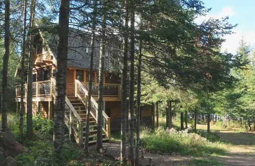 Lutsen Cabin | Fyrreskov Cabin - Boreal Forest Paradise in Lutsen