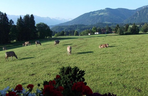 Immenstadt im Allgaeu House | Gästehaus Schmid & Reitzner