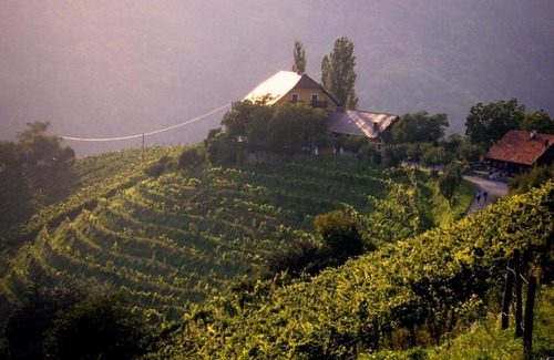 Kitzeck im Sausal Bed & Breakfast | Gästehaus-Temmel-Kitzeck