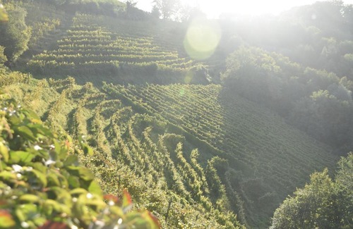 Kitzeck im Sausal Bed & Breakfast | Gästehaus-Temmel-Kitzeck