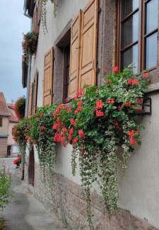 Kintzheim Apartment | Gîte À l'aigle de sable