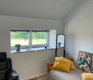 Lorris Apartment | Gîte à la campagne groupe et famille 3 chambres Espace Jacuzzi hammam SPA