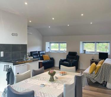 Lorris Apartment | Gîte à la campagne groupe et famille 3 chambres Espace Jacuzzi hammam SPA