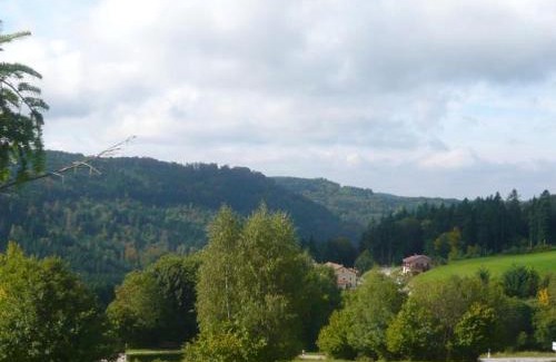 Le Tholy House | Gîte à la montagne avec cheminée, wifi et joli terrain - FR-1-589-179