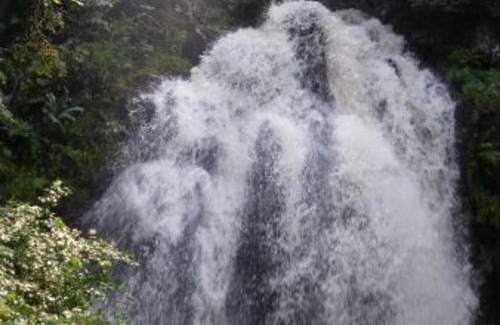 Le Tholy House | Gîte à la montagne avec cheminée, wifi et joli terrain - FR-1-589-179