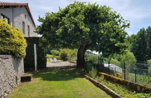 Laprugne House | Gîte à Laprugne avec Jardin et Animaux Acceptés - FR-1-489-458