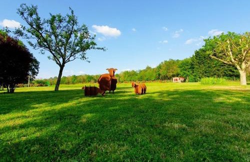 Luzille House | Gîte à Luzillé avec jardin privé et climatisation - FR-1-381-532