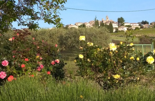 Pierrevert Cottage | Gîte 70 m2 Les Oliviers