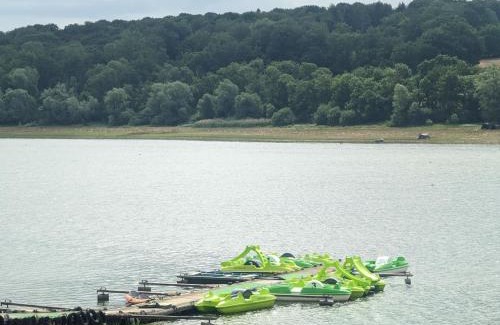 Peigney House | Gîte 80m² au bord du lac, calme, animaux admis - FR-1-611-116