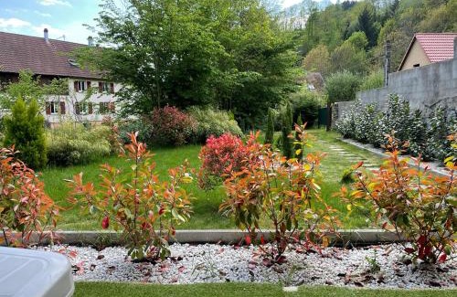 Soultzeren Apartment | Gîte au bord d’une rivière !