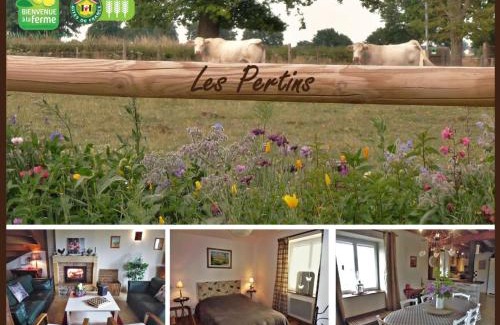 Le Bouchaud House | Gîte Authentique avec Jardin au Cœur de la France - FR-1-489-227