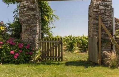 Chateau-Thebaud House | Gîte de caractère au cœur des vignes avec jardin, vélos et équipements bébé - FR-1-306-796