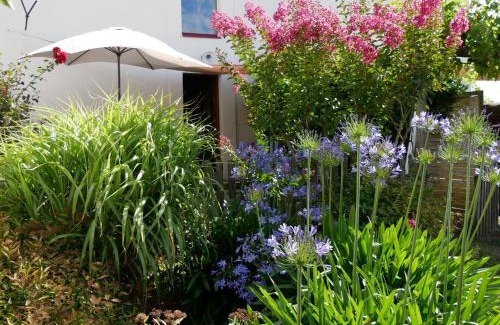 Chateau-Thebaud House | Gîte de caractère au cœur des vignes avec jardin, vélos et équipements bébé - FR-1-306-796