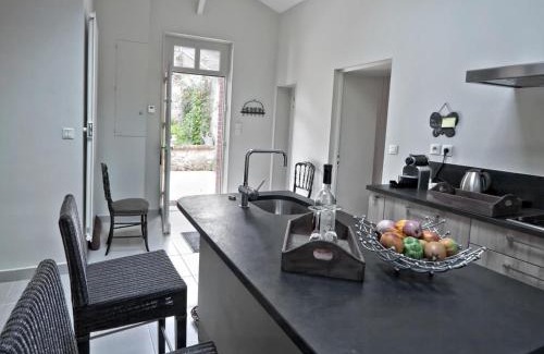 Blois House | Gîte de Charme au Cœur de Blois avec Jardin Privé, Garage et Équipements Modernes - FR-1-491-425