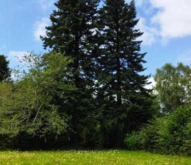 Condat-sur-Ganaveix Apartment | Gîte de France C'est tout vert 4 épis - Gîte de France 5 personnes MAE-9824