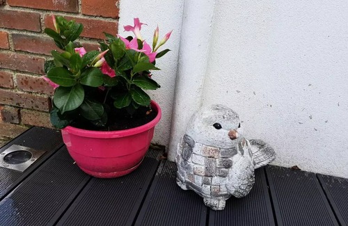 Arnac-Pompadour Villa | Gîte de France Gite de la tuilerie 3 ears - Gîte de France 3 people